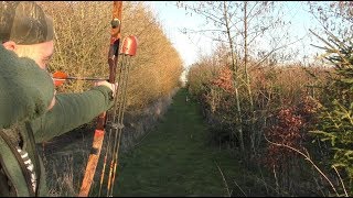Archery practice - The point on distance