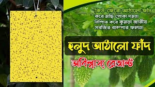 ইস্পাহানি এগ্রো লিমিটেড হলুদ আঠালো ফাঁদ | একদিনেই অবিশ্বাস্য রেজাল্ট | বৃষ্টিতেও ক্ষতি হয়না | 📲