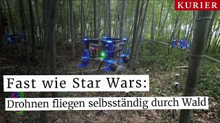 Fast wie Star Wars: Drohnen fliegen autonom durch chinesischen Bambuswald