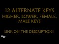 Stoned at the Nail Salon Karaoke - Lorde Instrumental Lower Higher Male Original Key