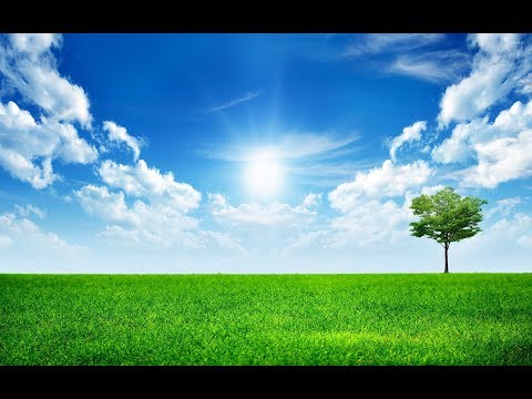 What is the most basic form of life?