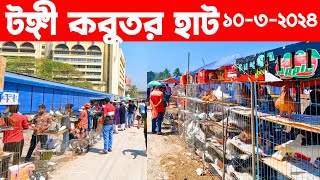 টঙ্গী কবুতর হাট ১০-৩-২০২৪ || Kobutor Hat 2024 || Pigeon Market In Bangladesh || Tongi Kobutor Hat