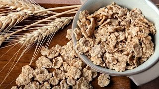 Spent grain – filling the fiber gap