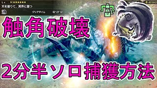 99％役に立たない混沌に呻くゴア・マガラソロ触角破壊捕獲の解説動画【モンハンサンブレイク:NS版】