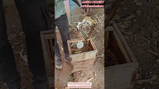 தேன் எடுப்பது எப்படி🤯🌟 #how to harvest honey #shortsvideo #தேன் #honey #தேனீவளர்ப்பு #shortsviral