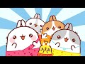 Molang - Funniest Moments ⭐ Best Cartoons for Babies - Super Toons TV