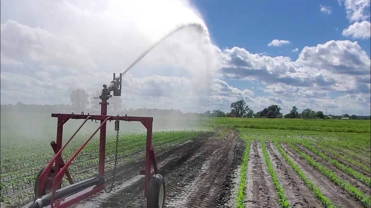 Irrigation Live Stream Youtube