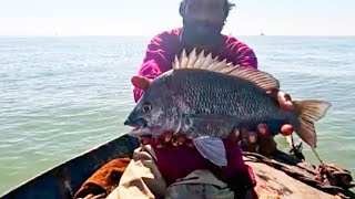 Back to Back Black Bream phitti creek