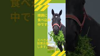 【愛馬記念】ファン投票は11/27まで！応援よろしくお願いいたします‪🌱‬🐴 #ソフト競馬 #馬 #引退馬支援