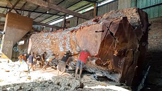 Kayu mahoni terbesar didunia dibeli 1.2 milyar warga Jepang digergaji Sawmill bahan bak truk Hino