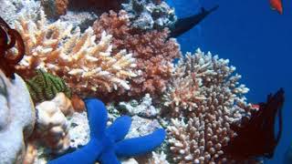 Biomics | Wikipedia audio article