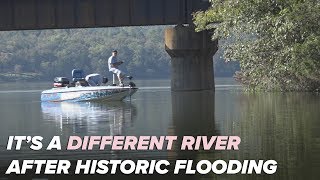 Arkansas River is a 'different river' after historic flooding