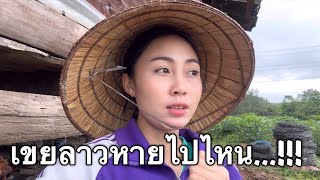 เป็นคำถามที่ทุกคนถามหาเยอะมาก...#เขยลาว หายไปไหน ทำไมไม่เห็นเขยลาว-ป้าเปิ้ล-น้องTL(วันนี้ดำนาวันแรก)