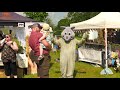 open days highlights the big cat sanctuary