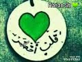 لِـمَ الأإخـضـر ؟ 💚 لأن قلبي قطع عهداً بأن يبقى ربيعاً مزهراً⁩،💚 لأن الأخضر حياة وقلبي مهووس به 💚