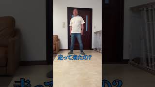 【ドッキリ】アホな父さんにスマホドッキリ仕掛けてみたwww #shorts