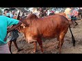 kuzhalmannam chandha കേരളത്തിലെ no 1 ചന്ത buffalo tech and vlogs