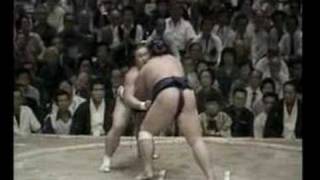 Kotokaze vs. Sadanoumi : Aki 1981 (琴風 対 佐田の海)