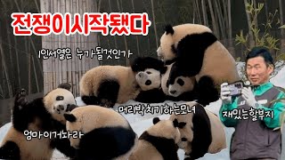 112. 할부지도 재밌어하시는 세모녀의 전쟁통🤣 과연 1인서열은 누가될것인가,,역대급재밌는시리즈👍