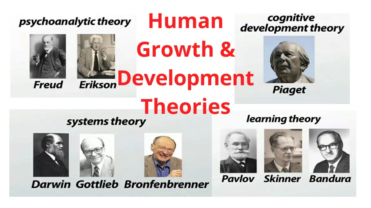 Human Growth And Development Theories - YouTube