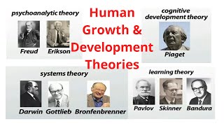 Human Growth and Development Theories