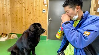 ヘリウムガス吸って犬の名前を呼ぶと・・・Animals react when the keeper's voice changes