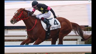 20250201 競馬ﾚｰｽﾄﾋﾟｯｸ　11【捲り決着!】'25小1-3-3R D1700 5下 フラッシング