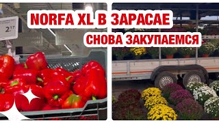 ЛИТВА | ЗАРАСАЙ | ЦЕНЫ НА ПРОДУКТЫ. ЧТО КУПИЛИ В NORFA XL НА НЕПОЛНЫХ 40 EUR. РЫНОК В ЗАРАСАЕ.