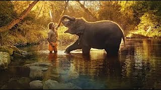 The Elephant Whisperer Full Movie | Oscar Winning Short Film 2023 #netflix #oscarwinner