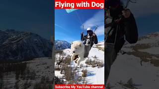 Flying With Dog||#youtubeshorts #paragliding #dog