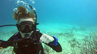 Hunting Lionfish at Eagle Pier 23-02-2025