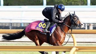 【有馬記念】プログノーシス、初コンビを組む三浦が引いて5枠10番「ゲートに不安があるので偶数は良かった」