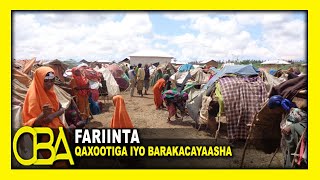 Fariinta Qaxootiga iyo barakacayaasha