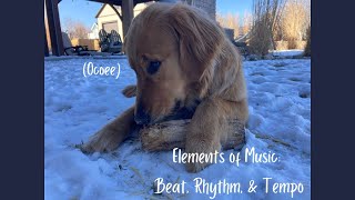 Elements of Music: Beat, Rhythm, \u0026 Tempo