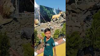 મમ્મી કેવડો મોટો શિહ 🦁| Mom Big Lion #short #video #gurukul