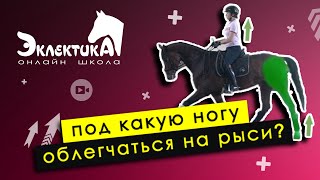 Под какую ногу облегчаться на рыси?  Верховая езда. Конный спорт.