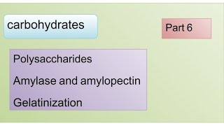 Polysaccharides / Amylose and Amylopectin / linear and branched chain polysaccharide (Part 6)