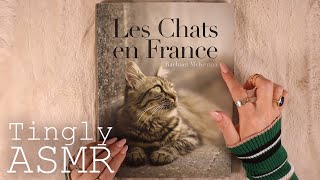 ASMR Cats in France Book Flip-through (🎧 soft spoken, tracing, page turning)