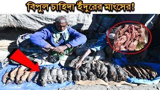 অবিশ্বাস্য!বিপুল চাহিদা ইঁদুরের মাংসের?এই ইঁদুরের মাংসের দাম শুনলে আপনি অবাক হয়ে যাবেন।কিনবেন নাকি?