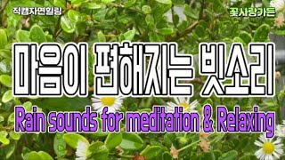 #직캠자연힐링  명상과 뇌의 휴식에 도움되고 마음이 편해지는 빗소리 Rain sounds for meditation \u0026 Relaxing Time