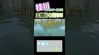 『三倍体』と言う50センチを超える大物ニジマスを釣る方法？