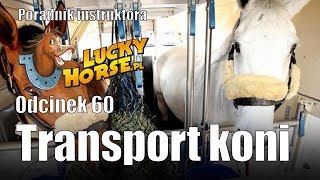 Porady LuckyHorse.pl - odc.60 - Transport koni