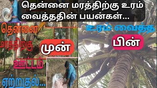 தென்னை மரத்திற்கு உரம் வைத்த பின், குரும்பை கொட்டுதல், ஒல்லிக்காய் இல்லை | Coconut nutrients