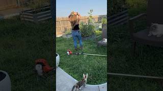 #funny #shorts  #yardwork