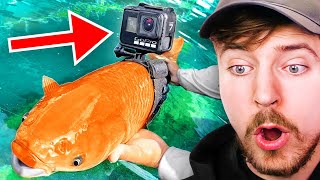 I Strapped A GoPro To A Fish!
