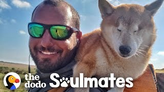 Guy Carries His Blind Dog 800 Miles To Help Get Her Confidence Back | The Dodo Soulmates