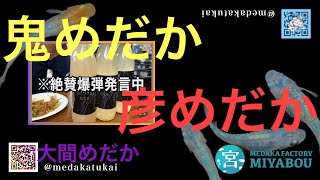 【穴場イベント】めだか感謝祭に突撃してみた！後編