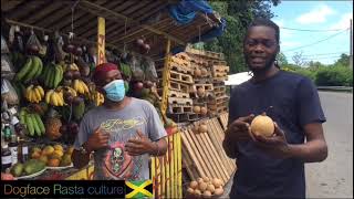 Rasta culture visit the fruits 🍌 doctor 👨‍⚕️ must watch