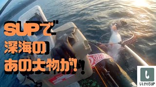 【SUP】サップでスロージギング　日本海で深海のアノ大物がHIT!!