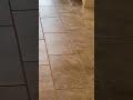 stripping tile using zep heavy duty stripper